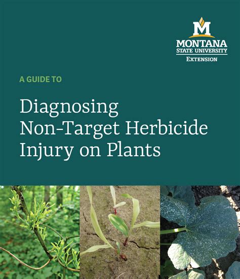 Diagnosing Non.